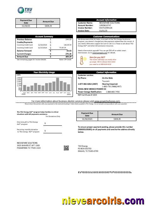 USA Texas TXU Energy business utility bill